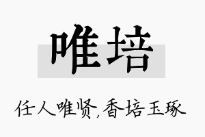 唯培名字的寓意及含义