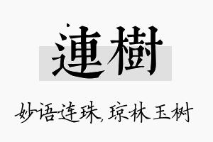 连树名字的寓意及含义