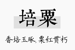 培粟名字的寓意及含义