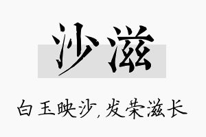 沙滋名字的寓意及含义