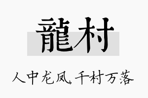 龙村名字的寓意及含义