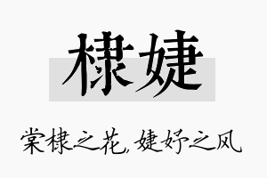 棣婕名字的寓意及含义