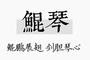 鲲琴名字的寓意及含义