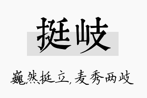 挺岐名字的寓意及含义