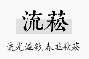 流菘名字的寓意及含义