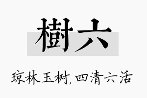 树六名字的寓意及含义