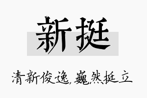 新挺名字的寓意及含义