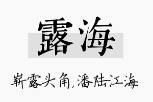 露海名字的寓意及含义