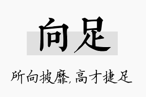 向足名字的寓意及含义