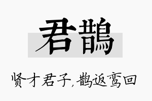 君鹊名字的寓意及含义