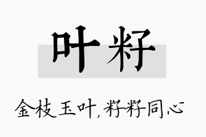 叶籽名字的寓意及含义