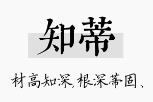 知蒂名字的寓意及含义