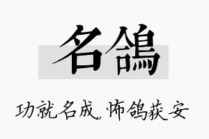 名鸽名字的寓意及含义