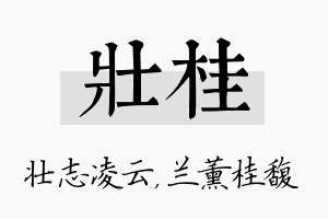 壮桂名字的寓意及含义