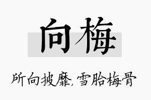 向梅名字的寓意及含义