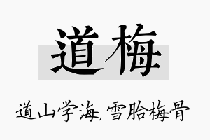 道梅名字的寓意及含义