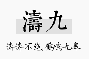 涛九名字的寓意及含义