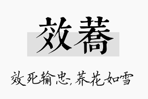 效荞名字的寓意及含义