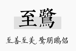 至鹭名字的寓意及含义