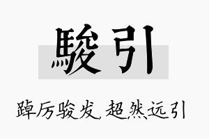 骏引名字的寓意及含义