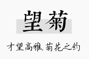 望菊名字的寓意及含义