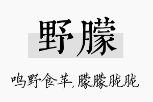 野朦名字的寓意及含义