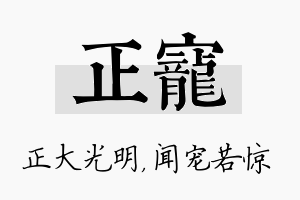 正宠名字的寓意及含义