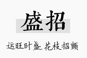 盛招名字的寓意及含义