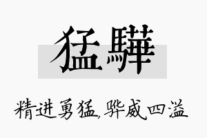 猛骅名字的寓意及含义