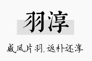 羽淳名字的寓意及含义