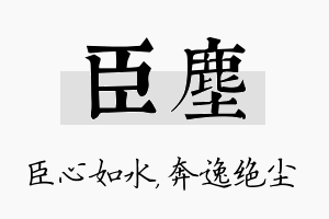 臣尘名字的寓意及含义