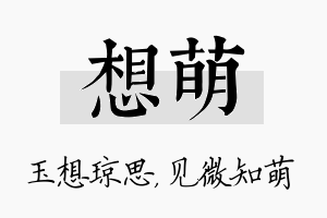 想萌名字的寓意及含义