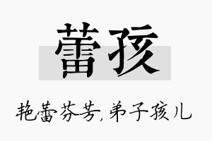 蕾孩名字的寓意及含义