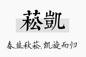 菘凯名字的寓意及含义