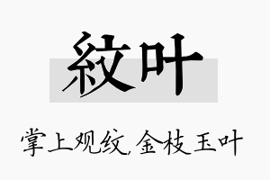 纹叶名字的寓意及含义