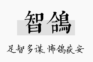 智鸽名字的寓意及含义