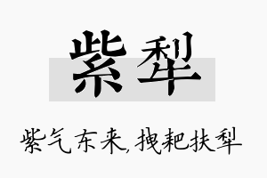 紫犁名字的寓意及含义