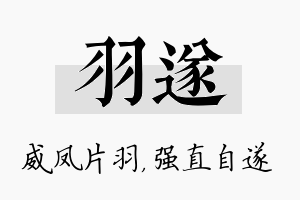 羽遂名字的寓意及含义