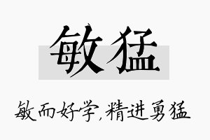 敏猛名字的寓意及含义