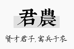 君农名字的寓意及含义