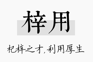 梓用名字的寓意及含义