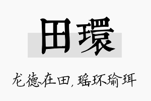 田环名字的寓意及含义