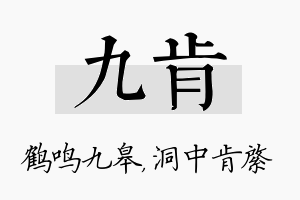 九肯名字的寓意及含义