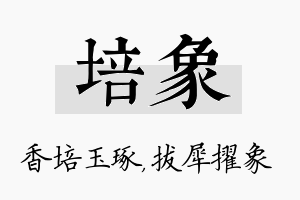 培象名字的寓意及含义