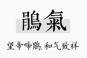 鹃气名字的寓意及含义