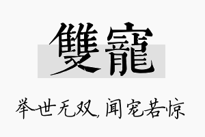 双宠名字的寓意及含义