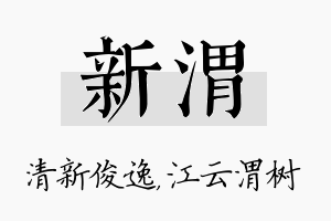 新渭名字的寓意及含义