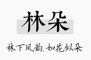 林朵名字的寓意及含义