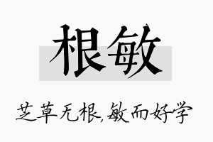 根敏名字的寓意及含义