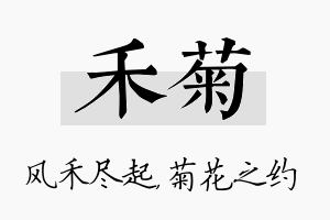 禾菊名字的寓意及含义